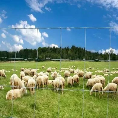 Secure Your Property with Quality Field Fencing