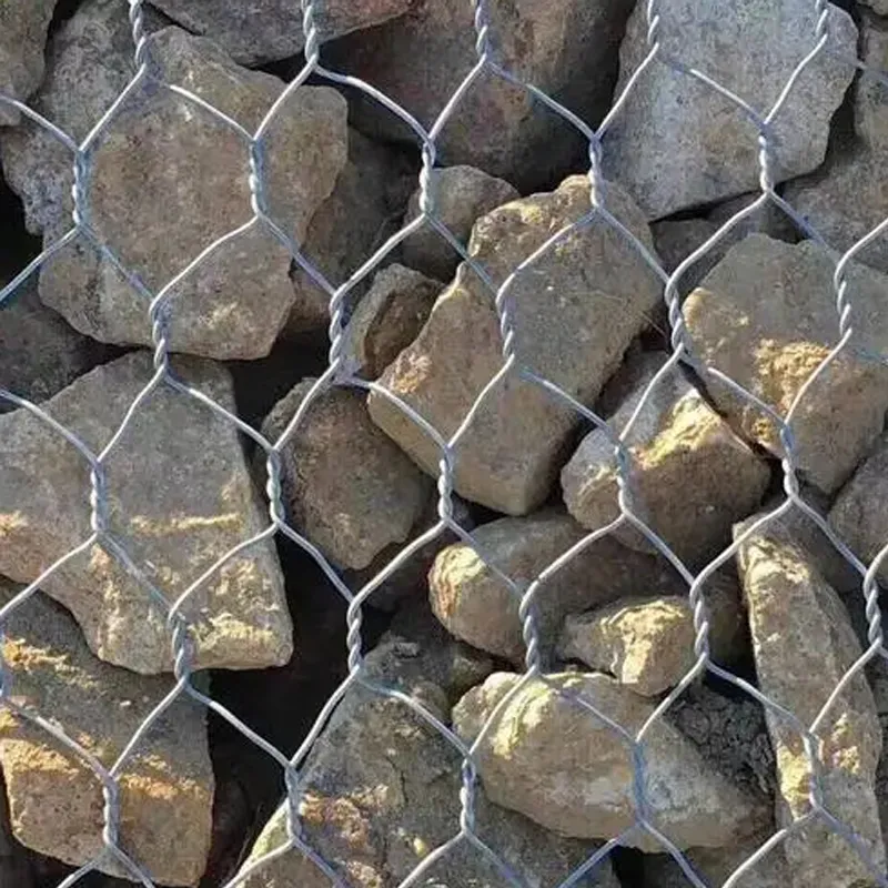 hexagonal wire mesh