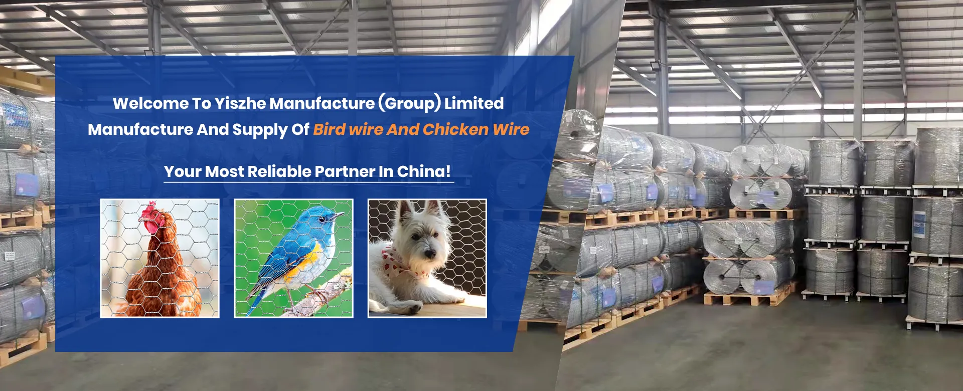 Read More About wire mesh manufacturers